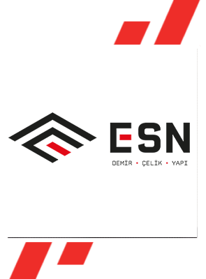 esn logo